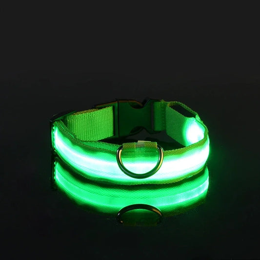 Collier de nuit pour chien en Nylon LED