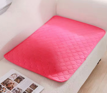 Absorbent pet mat – Leak and odor resistant