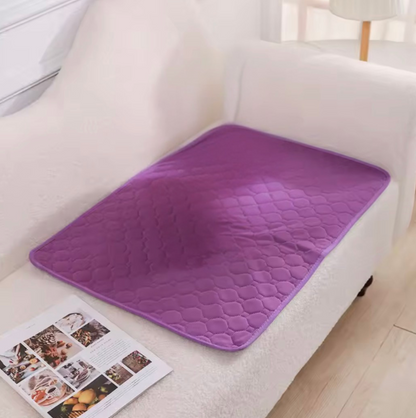 Absorbent pet mat – Leak and odor resistant