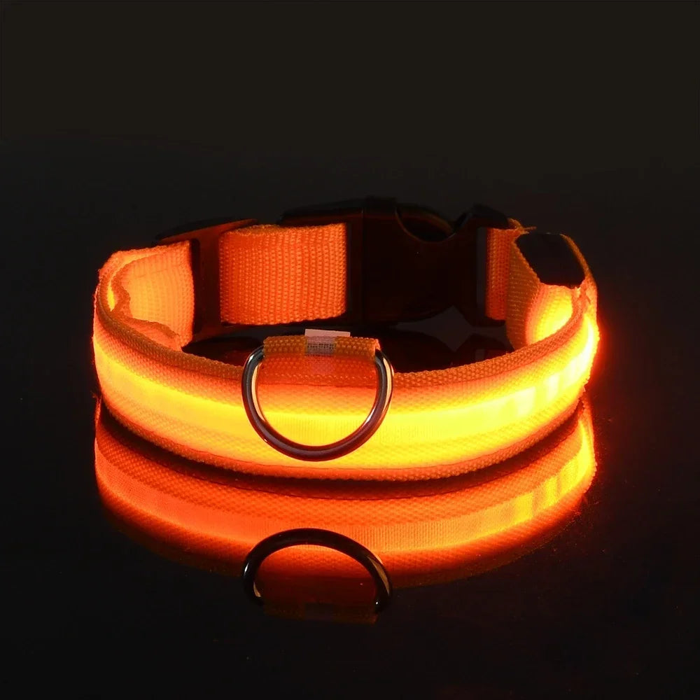 Collier de nuit pour chien en Nylon LED
